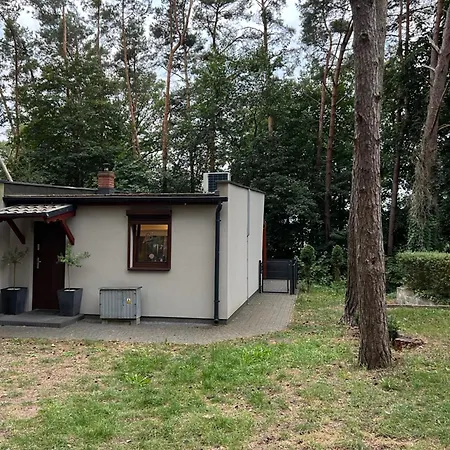 Na Morenowym Wzgorzu, Nad Jeziorem *