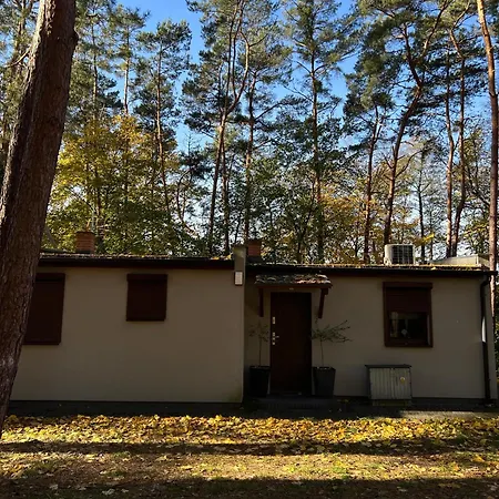 Na Morenowym Wzgorzu, Nad Jeziorem * Mierzyn