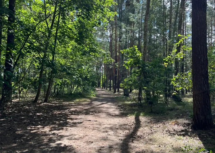 Holiday home Na Morenowym Wzgorzu, Nad Jeziorem