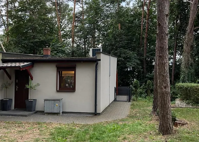 Na Morenowym Wzgorzu, Nad Jeziorem *